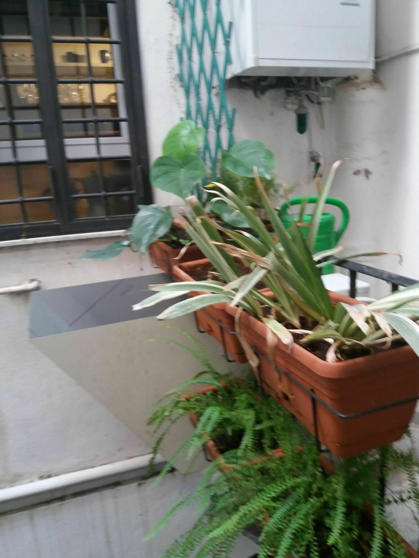 Campofiori Daire Roma Dış mekan fotoğraf